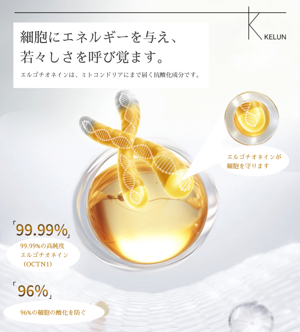 L - ERGOTHIONEINE エルゴチオネイン