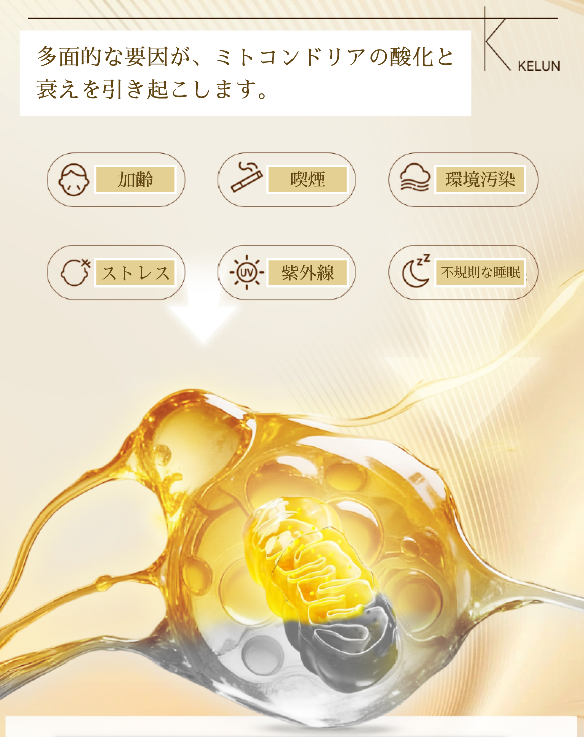 Triple Care Bright Aging トリプルケアブライトエイジング